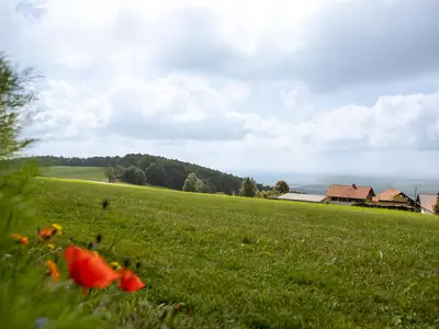 Aussicht Fewo