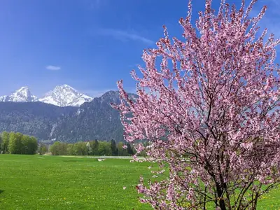 Landschaftsbild