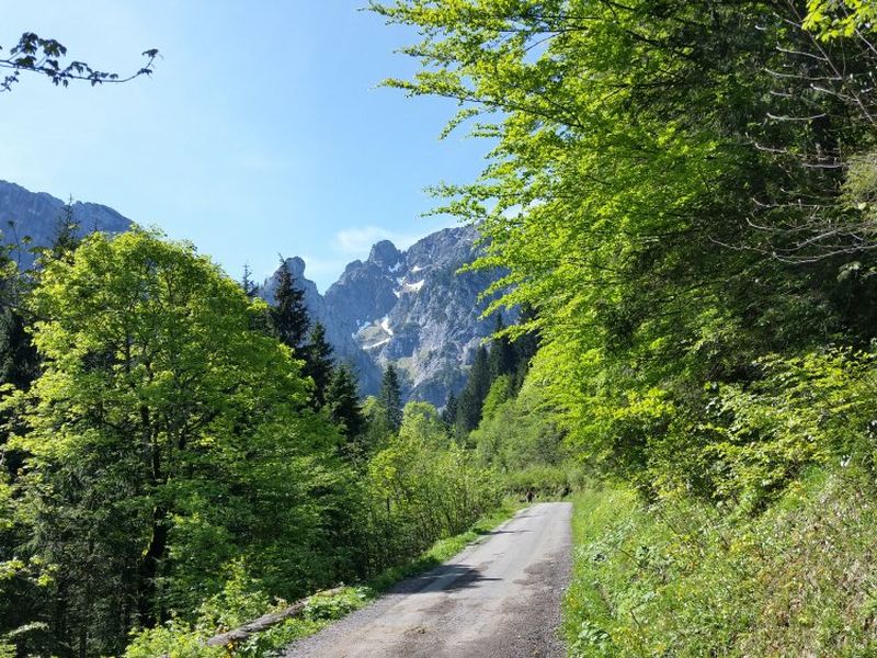 21993073-Doppelzimmer-2-Schwangau-800x600-1