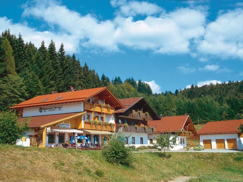 18783599-Doppelzimmer-2-Schwarzach-800x600-1