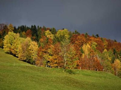 Doppelzimmer für 12 Personen (200 m²) in Schwarzenberg (Bregenzerwald) 5/10