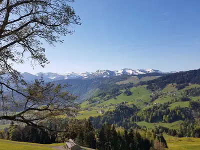 Doppelzimmer für 2 Personen (30 m²) in Schwarzenberg (Bregenzerwald) 9/10