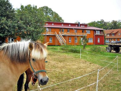 Doppelzimmer für 2 Personen (12 m²) in Schwerin 1/10