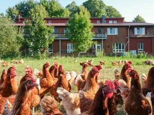 Doppelzimmer für 2 Personen (12 m²) in Schwerin