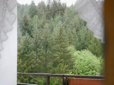 Doppelzimmer für 3 Personen in Seebach (Ortenaukreis) 4/10