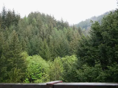 Doppelzimmer für 3 Personen in Seebach (Ortenaukreis) 7/10