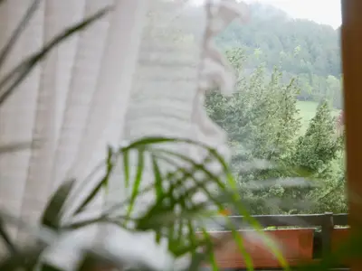 Doppelzimmer für 3 Personen in Seebach (Ortenaukreis) 10/10