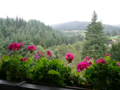 Doppelzimmer für 2 Personen in Seebach (Ortenaukreis) 7/10