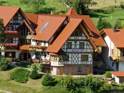 Doppelzimmer für 2 Personen in Seebach (Ortenaukreis) 1/3