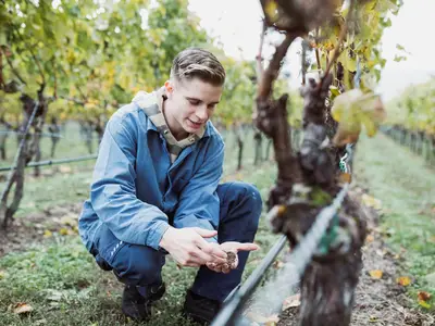 Doppelzimmer für 4 Personen (43 m²) in Sommerach 1/5