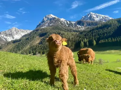 Doppelzimmer für 2 Personen (18 m²) in Spital am Pyhrn 3/9