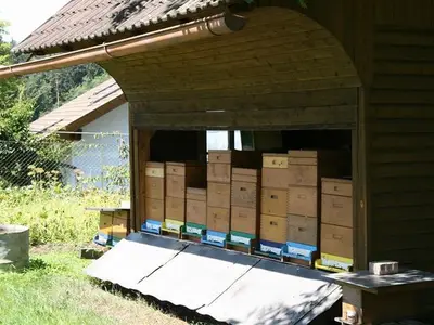 Doppelzimmer für 2 Personen (17 m²) in St.Kanzian am Klopeiner See 7/10