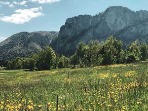 22646333-Doppelzimmer-2-St. Lorenz am Mondsee-300x225-2