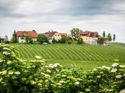 Doppelzimmer für 2 Personen in Sankt Peter am Ottersbach 3/10
