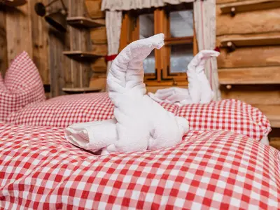 Doppelzimmer für 2 Personen (12 m²) in Neustift am Alpenwalde 5/10