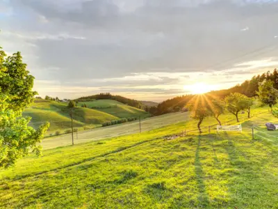 ausblickimherzenfesthalten