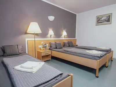 Doppelzimmer für 2 Personen (24 m²) in Falkenstein/Vogtland 7/10