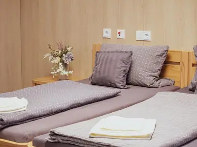Doppelzimmer für 2 Personen (24 m²) in Falkenstein/Vogtland 9/10