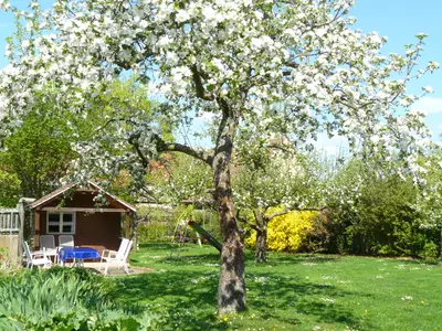 Garten im Frühjahr