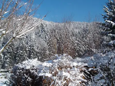 Doppelzimmer für 2 Personen (25 m²) in Ettenheimmünster 2/10