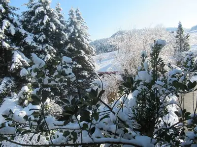 Doppelzimmer für 2 Personen (25 m²) in Ettenheimmünster 4/10