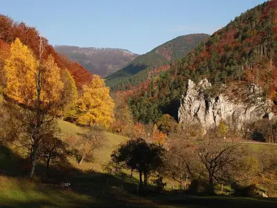 Der Wienerwald