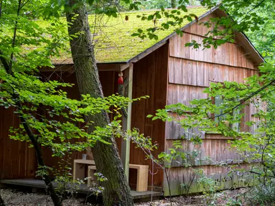 Waldhütte außen