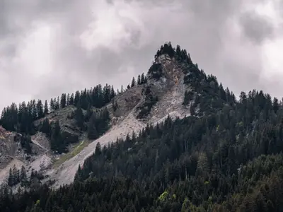 Bergumgebung