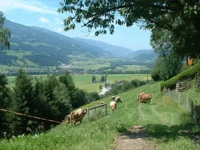 Doppelzimmer für 2 Personen (28 m²) in Assach 3/10