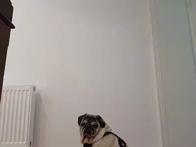 Doppelzimmer für 2 Personen (18 m²) in Königslutter am Elm 7/10