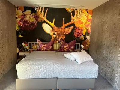 Doppelzimmer für 2 Personen (20 m²) in Pertisau 4/7