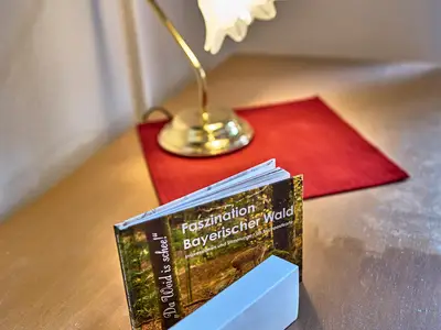 Arber-Hotel am Rothbach