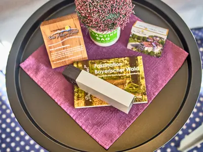 Arber-Hotel am Rothbach