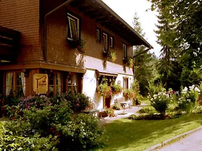 Doppelzimmer für 2 Personen (21 m²) in Hinterzarten 4/10