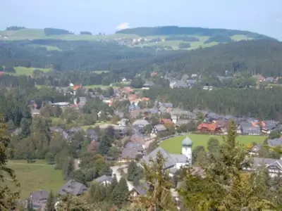 Doppelzimmer für 2 Personen (21 m²) in Hinterzarten 6/10