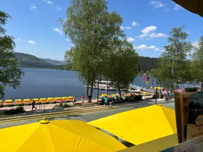 Doppelzimmer für 2 Personen (21 m²) in Hinterzarten 8/10