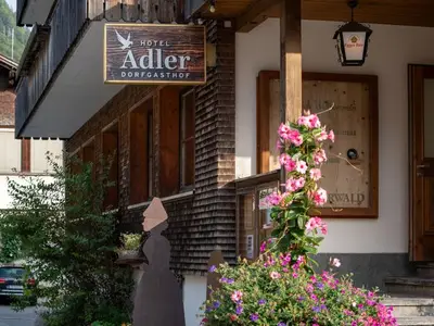 Doppelzimmer für 4 Personen (25 m²) in Mellau 6/10