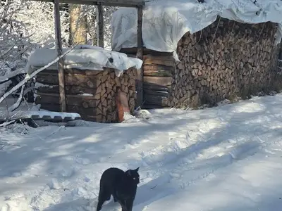 Doppelzimmer für 2 Personen (32 m²) in Gräfenberg 5/10