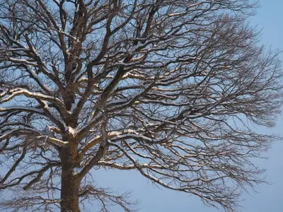 Doppelzimmer für 3 Personen (24 m²) in Waakirchen 4/10