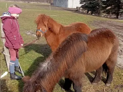 Doppelzimmer für 6 Personen (70 m²) 8/10