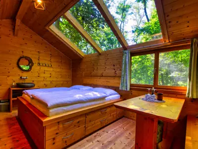 Träumen unter Bäumen