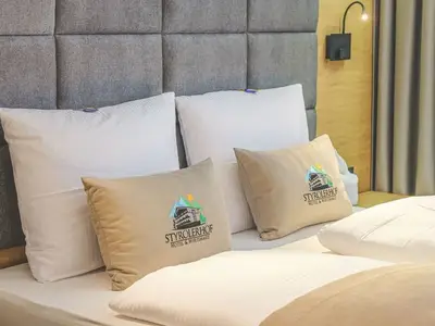 Doppelzimmer für 2 Personen (20 m²) in Steeg (Tirol) 9/10