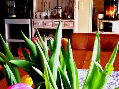 Doppelzimmer für 2 Personen (15 m²) in Steenfeld 9/10