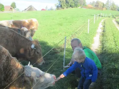 Doppelzimmer für 2 Personen in Steinbach am Attersee 10/10