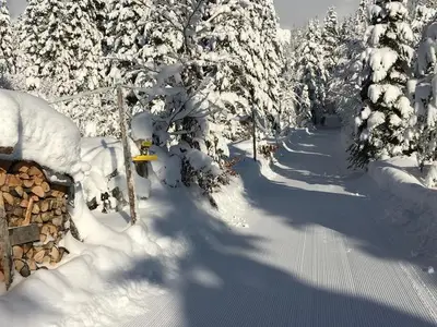 Doppelzimmer für 3 Personen (26 m²) in Steinberg am Rofan 8/10