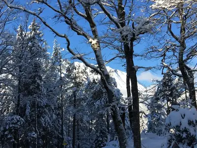 Doppelzimmer für 3 Personen (26 m²) in Steinberg am Rofan 10/10