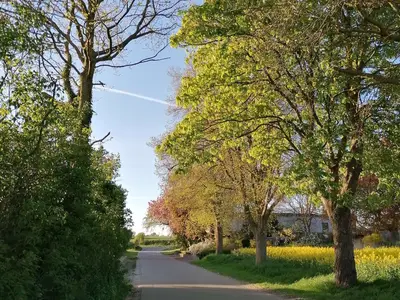 Doppelzimmer für 2 Personen (19 m²) in Stoltebüll 6/6