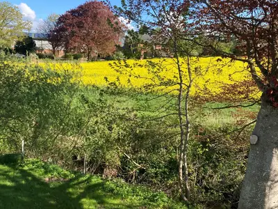 Doppelzimmer für 2 Personen (19 m²) in Stoltebüll 4/5