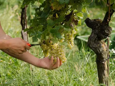 Doppelzimmer für 2 Personen (23 m²) in Straden 3/10