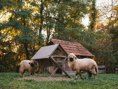 Doppelzimmer für 2 Personen (23 m²) in Straden 7/10